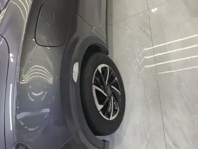 NETA Neta V