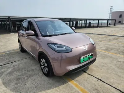 Wuling Bingo