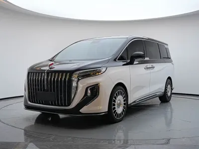 Hongqi Hongqi HQ9