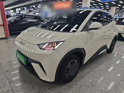 BYD Seagull
