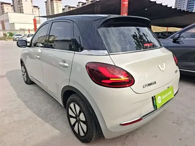 Wuling Bingo