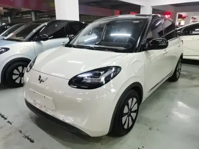 Wuling Bingo