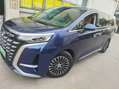 Denza Denza D9