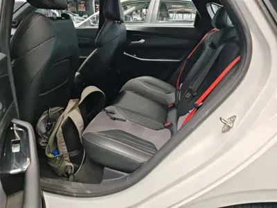 Geely Binrui