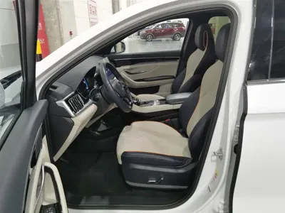 BYD PLUS New Energy