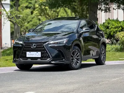 Lexus NX New Energy
