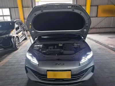 BYD 海豹06