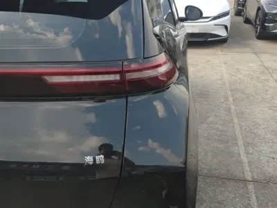 BYD Seagull