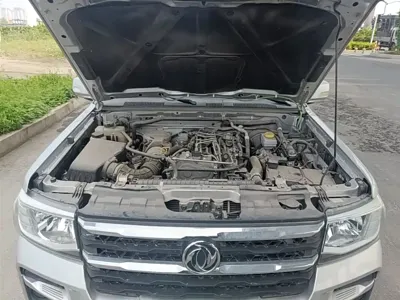 Dongfeng Rich