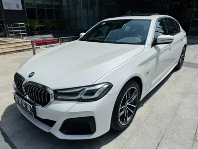 BMW 5 Series New Energy