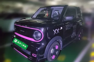 Geely Galaxy Panda