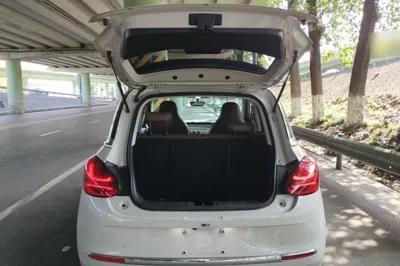 Wuling Bingo
