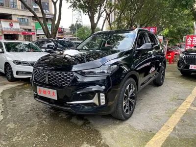 WEY Wey VV6