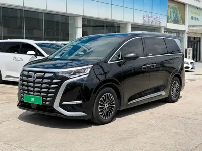 Denza Denza D9