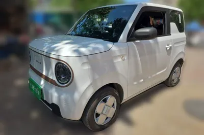 Geely Galaxy Panda