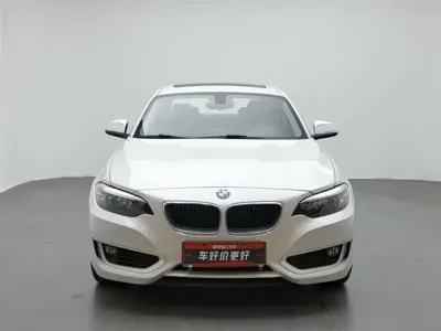 BMW 2 Series (Import)