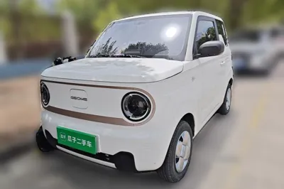 Geely Galaxy Panda