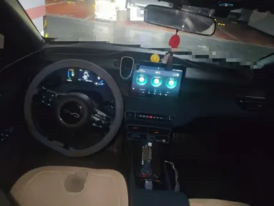 BYD Seagull