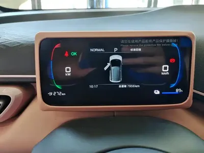 BYD Seagull