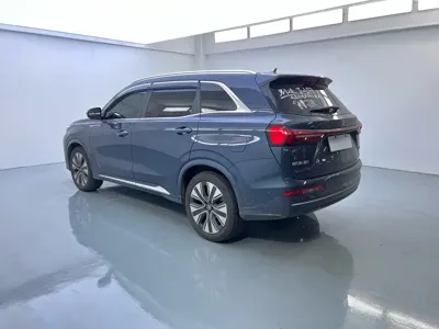 Landian Landian E5 PLUS