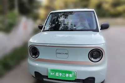 Geely Galaxy Panda
