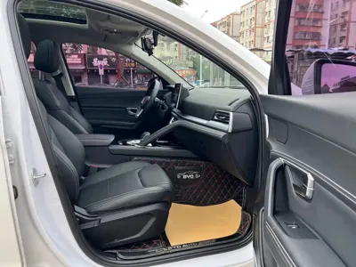 BYD Pro