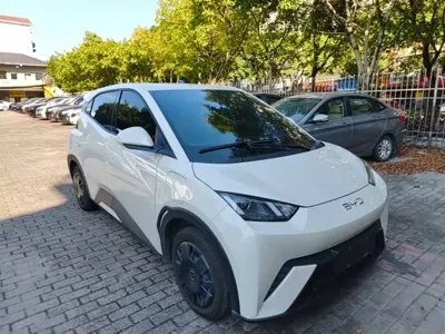 BYD Seagull