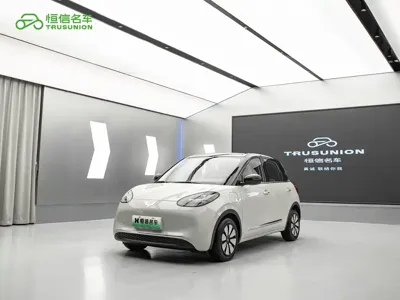 Wuling Bingo