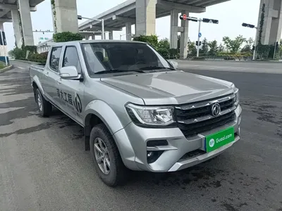 Dongfeng Rich