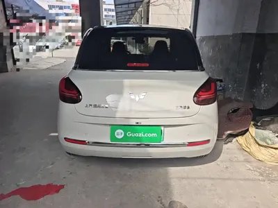 Wuling Bingo