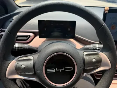 BYD Seagull