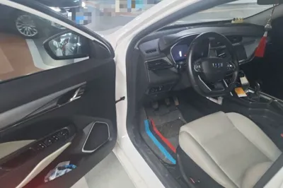 Geely Auto Binray