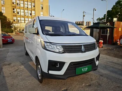 Ruixiang V2 EV