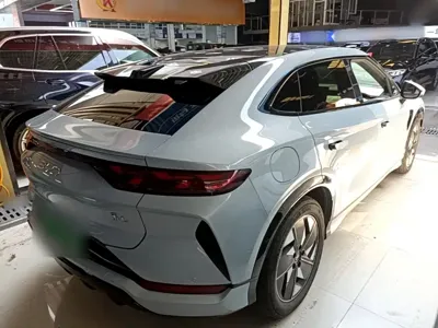 BYD L EV