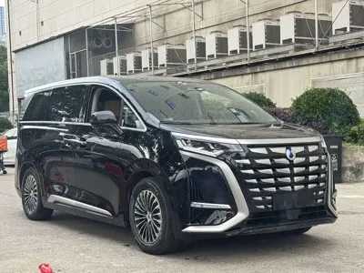 Denza Denza D9