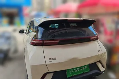 BYD Seagull