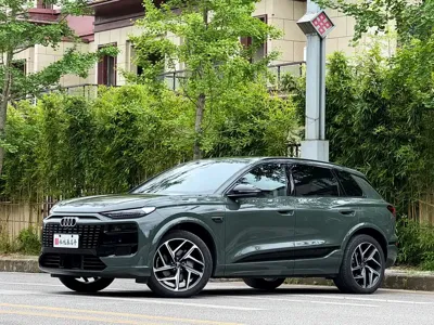 Audi 奥迪Q6L e-tron