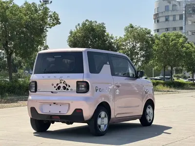 Galaxy Panda