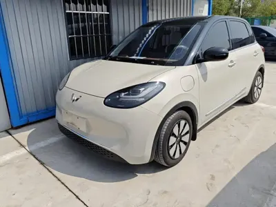 Wuling Bingo