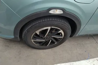 NETA V