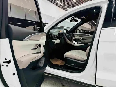 BYD Pro New Energy