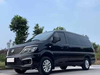 Fengxing Lingzhi