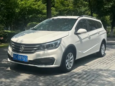 Baojun 310W
