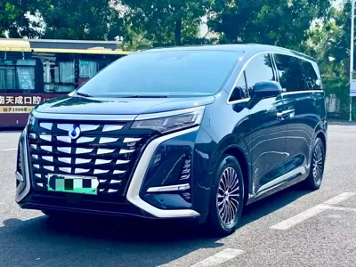 Denza Denza D9