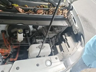 Wuling Zhiguang EV