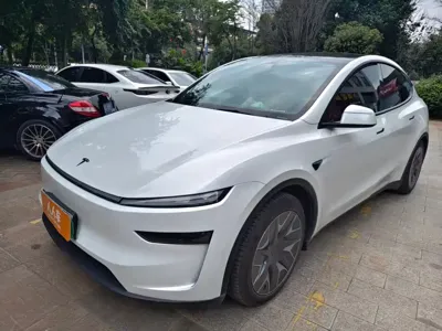 Tesla Model Y L
