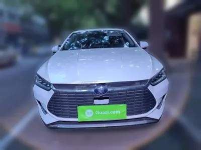 BYD Qin Pro NEV