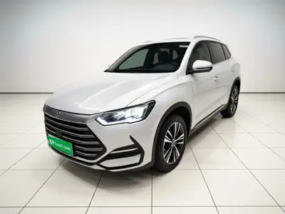 BYD Pro New Energy