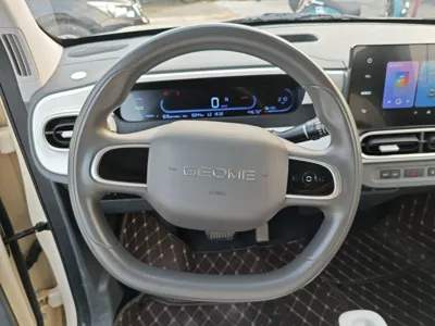 Geely Galaxy Panda