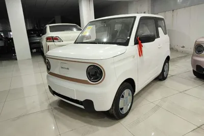 Geely Galaxy Panda
